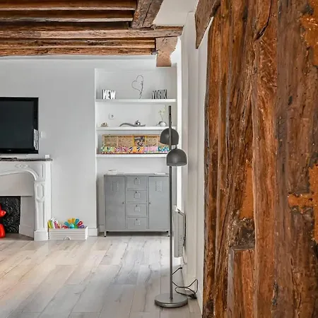 Apartment Grand 2 Pieces Typique Du Marais *