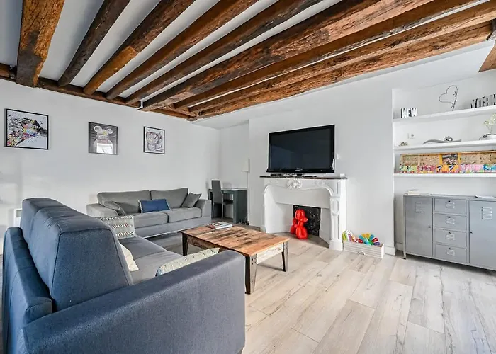 Grand 2 Pieces Typique Du Marais Appartement