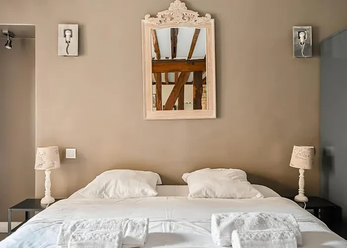 Grand 2 Pieces Typique Du Marais Appartement Parijs